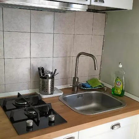 Il Camaleonte Dal 2005