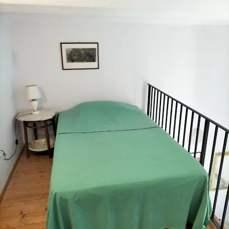 Il Camaleonte