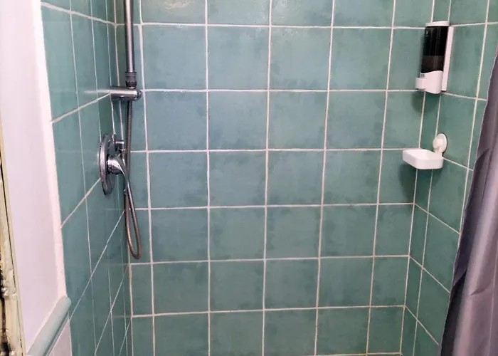 Il Camaleonte Dal 2005 *